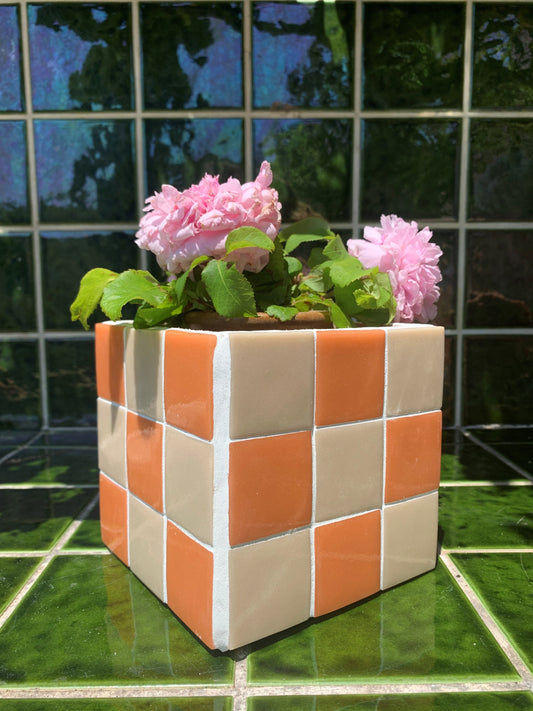 Boîte damier crème orange