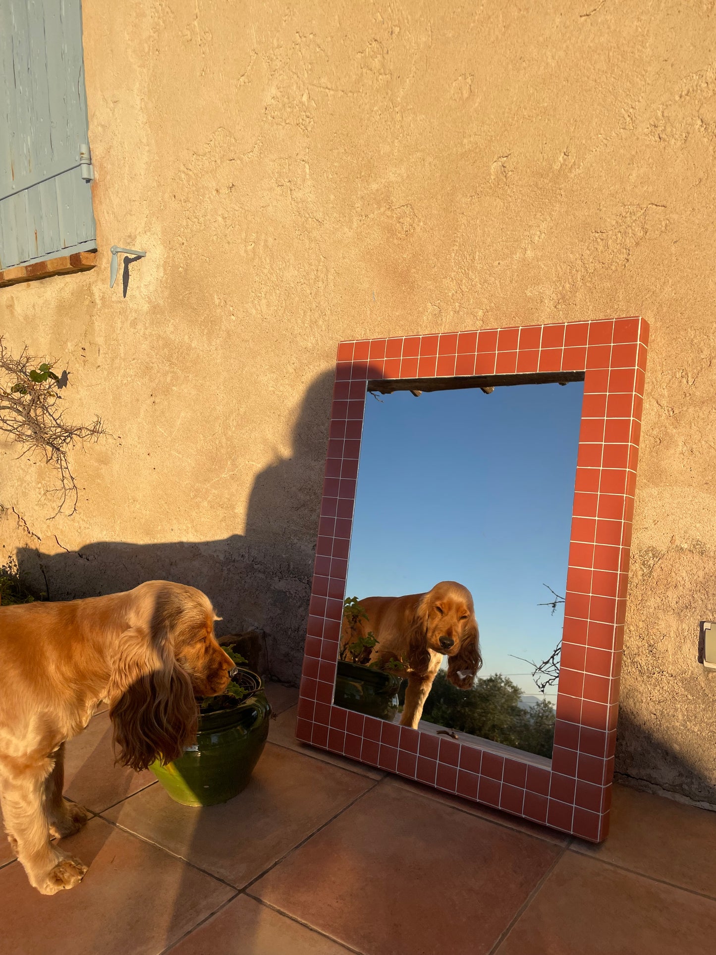 Miroir abricot